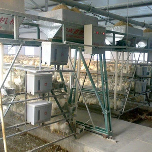 A type chicken cage 3 tiers