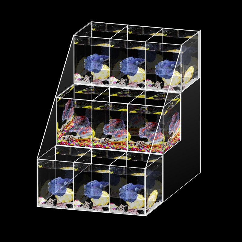 Buy Acrylic Cylinder Desktop Display Multi-grid Fish Tank Landscape ...