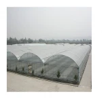 Agricultural Multi-Span Greenhouse Commercial Greenhouse