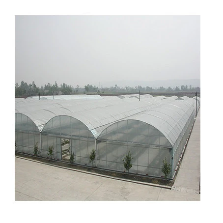 Agricultural Multi-Span Greenhouse Commercial Greenhouse