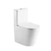 ANBI New High Quality Sanitary Ware Bathroom Ceramic Two Piece Graphic Design Toilet Bowl With Tank