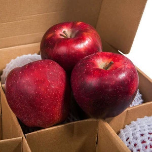 Apple Fruit Fresh and Price for Fresh Apple