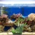 Import Aquarium Decor Fish Tank Decoration Ornament Artificial Plastic Plant Green 13&quot; Tall from China