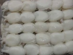 Best Grade Frozen cleaned Cuttlefish