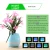 Import Best Promotional Gift Portable Waterproof Flower Pot Mini Speaker Gift Blue tooth Music Player from China