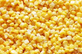 Best Quality Natural Yellow Corn Maize at Indian wholesale price