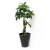 Import Best quality Simulation pachira macrocarpa tree 48 leaves / 1.5 m artificial tree bonsai plants artificial plants from China
