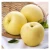 Import Best Quality Sweet Fresh Delicious Yellow / Golden / Gold Apples Grade A - Wholesale/Bulk from USA