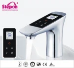 Bidet Spray Faucet
