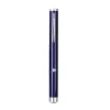 Blue Purple Red Green Rechargeable USB Laser Pen Pointer