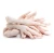 Import Brazil Origin Halal Frozen Processed Chicken Feet / Paws from South Africa