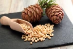 Brazil pine seeds, pine nuts, pine nuts kernels cheap bulk pine nuts