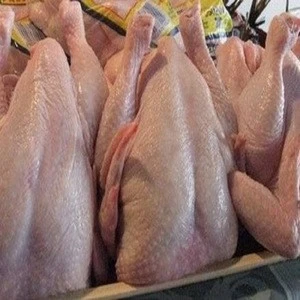 Brazilian Halal Frozen Chicken Paw/ Chicken Feet/ Whole Frozen Grade AAAAA