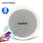Built-in Class-D Amplifier Full Range BT Ceiling Speaker Horn With Good Quality