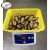 Import Bulk Products wholesale imported from China frozen high quality half shell cooked mussel from China