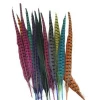 Carnival costumes DIY feathers 45-50CM multicolor pheasant tail hair