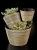 Import Cheap products home decor handmade spun bamboo planter whosale from Vietnam