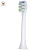 Import Childrens Sonic Electric Toothbrush Soft Hair with Color Change Hair Replacement Brush Head from China