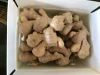 China export natural organic market price for ginger