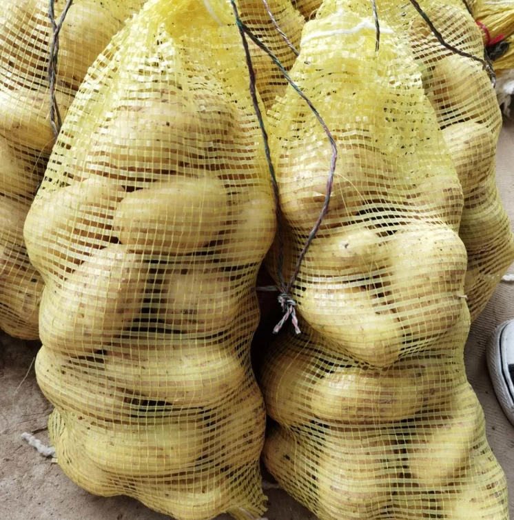 China new season fresh potato 100-150g / yellow flesh potato bulk sale