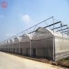China supplier aluminum frame hydroponic plastic greenhouse film cover agricultural product