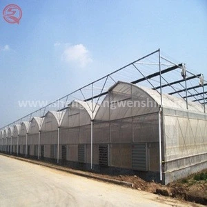 China supplier aluminum frame hydroponic plastic greenhouse film cover agricultural product
