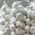 Import Chinese Best Wholesale Fresh Garlic garlic in bulk from China
