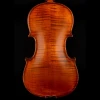 CHRISTINA EU2000C Famous Brand Solid Wood Performance Grade Handmade Violin With Gift String Bow