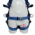 Import classic 45mm alloy steel construction safety harness and lifeline from China