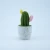 Import Clay Cactus Ornaments Desktop Decoration Handmade in China from China