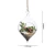 Import clear glass ball terrarium tabletop air plant display flat bottom globe from China