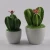 Import Colorful glazed pottery ceramic cactus plants for storage jar from China