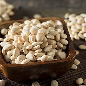 Common PRICE LIMA BEANS FOR SALE