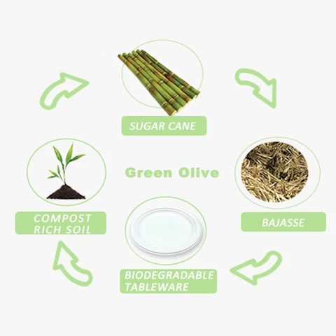 Buy 100% Compostable Biodegradable Eco Friendly Sugarcane Bagasse ...