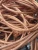 Import Copper Scrap 99.99% High Purity Waste Copper Wire Scrap Good Quality from China