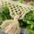 Import Crepe Chiffon Crochet Curtain Pure Cotton Row Fringe from China