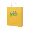 Custom Branded Logo Printed Gift Shopping Bag With Twisted Handles