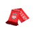 Import Custom Factory  Soccer Knitted polyester Football Fan Scarf (145X18CM) from China