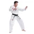 Import Customizable Long Sleeved Martial Arts Wear Taekwondo Uniform Taekwondo Dobok Embroidery Dragon Warrior from China