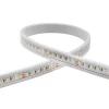 dc24v smd3527 dual color white and warm white led neon light