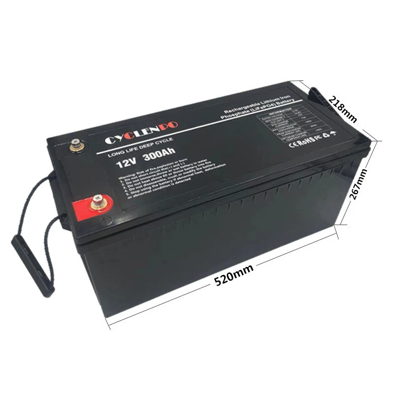 Deep cycle 12v lifepo4 lithium ion battery 12v 300ah with bms for solar systems