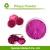 Import Dietary supplement organic freeze dried and Spray dried dragon fruit Powder / pitaya powder / dragon fruit extract from China