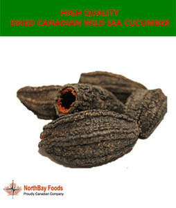 dried sea cucumber natural dried prickly Sea cucumber in factory price Best selling product 2017 wechat/Whatsapp:647-992-3801