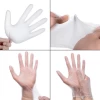 Eco Friendly Clear Food Grade Home Kitchen Cooking Plastic Disposable PVC Vinyl Gloves