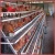Import egg laying chicken cage farming equipment from China