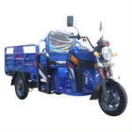 Electric Cargo Tricycle and Battery Electric Scooter for Freight and Transport