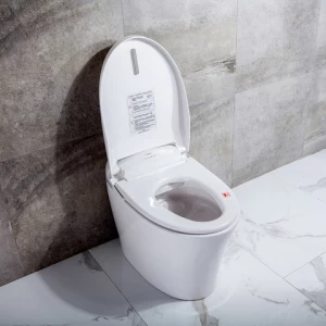 Electric smart bidet toilet with build in bidet warm water wash automatic flush toilet  auto dry