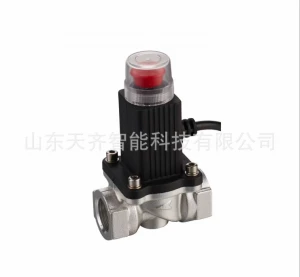 Explosion-proof DN15 domestic gas emergency shut-off valve civil natural gas coal to gas stop valve solenoid valve