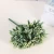 Import Factory Directly Sale Custom Design Small Air Plants Bonsai from China