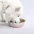 Import Factory supplier 5.7in raised cat bowl from China